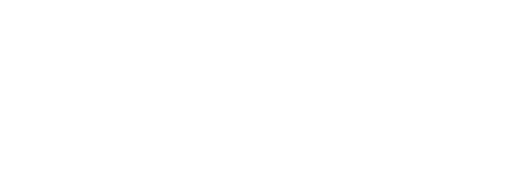 Rainforest Concepts Logo